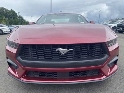 2025 Ford Mustang EcoBoost