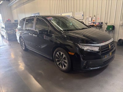 2024 Honda Odyssey EX-L