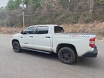 2019 Toyota Tundra TRD Pro