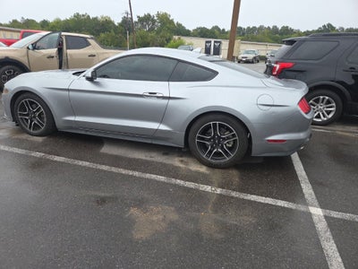2022 Ford Mustang EcoBoost