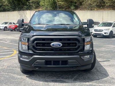 2023 Ford F-150 XL STX