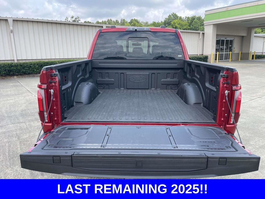 2025 Ford F-150 Raptor - Photo 10