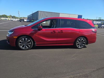 2025 Honda Odyssey Elite